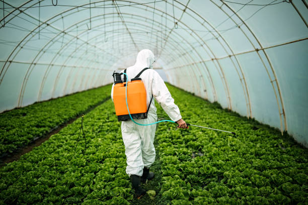 Best Pest Inspection Near Me  in Wellsville, KS