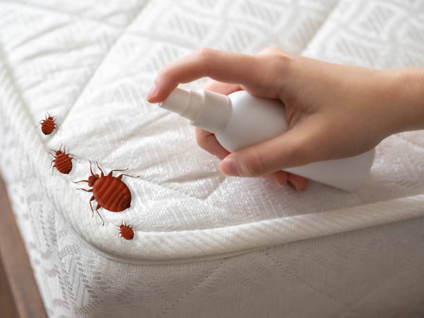 Best Insect Control  in Wellsville, KS