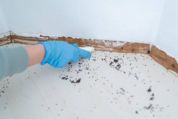 Wellsville, KS Pest Control Company